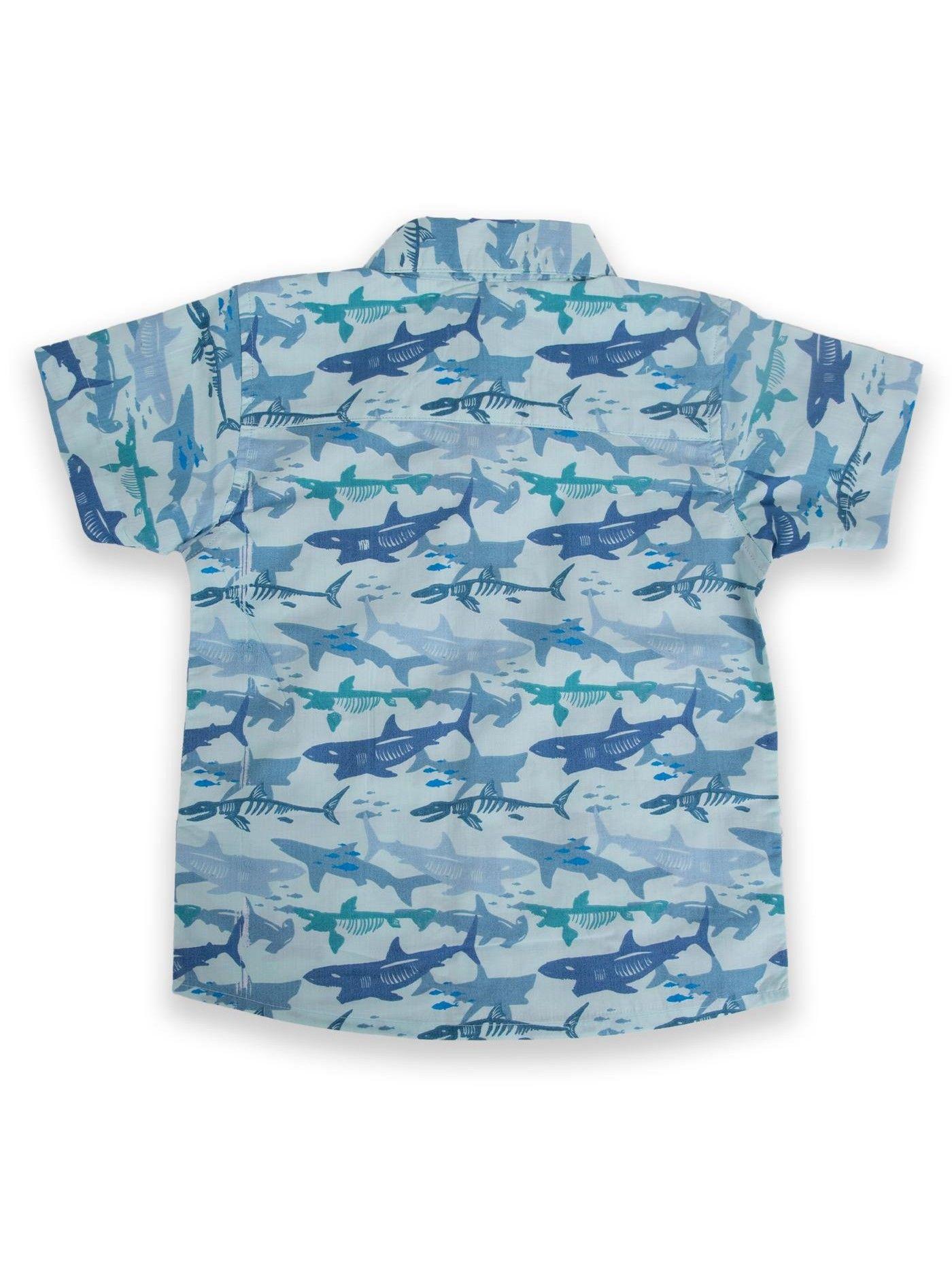 Camisa Niño Celeste Pillin (PVA809-24CEL)-2