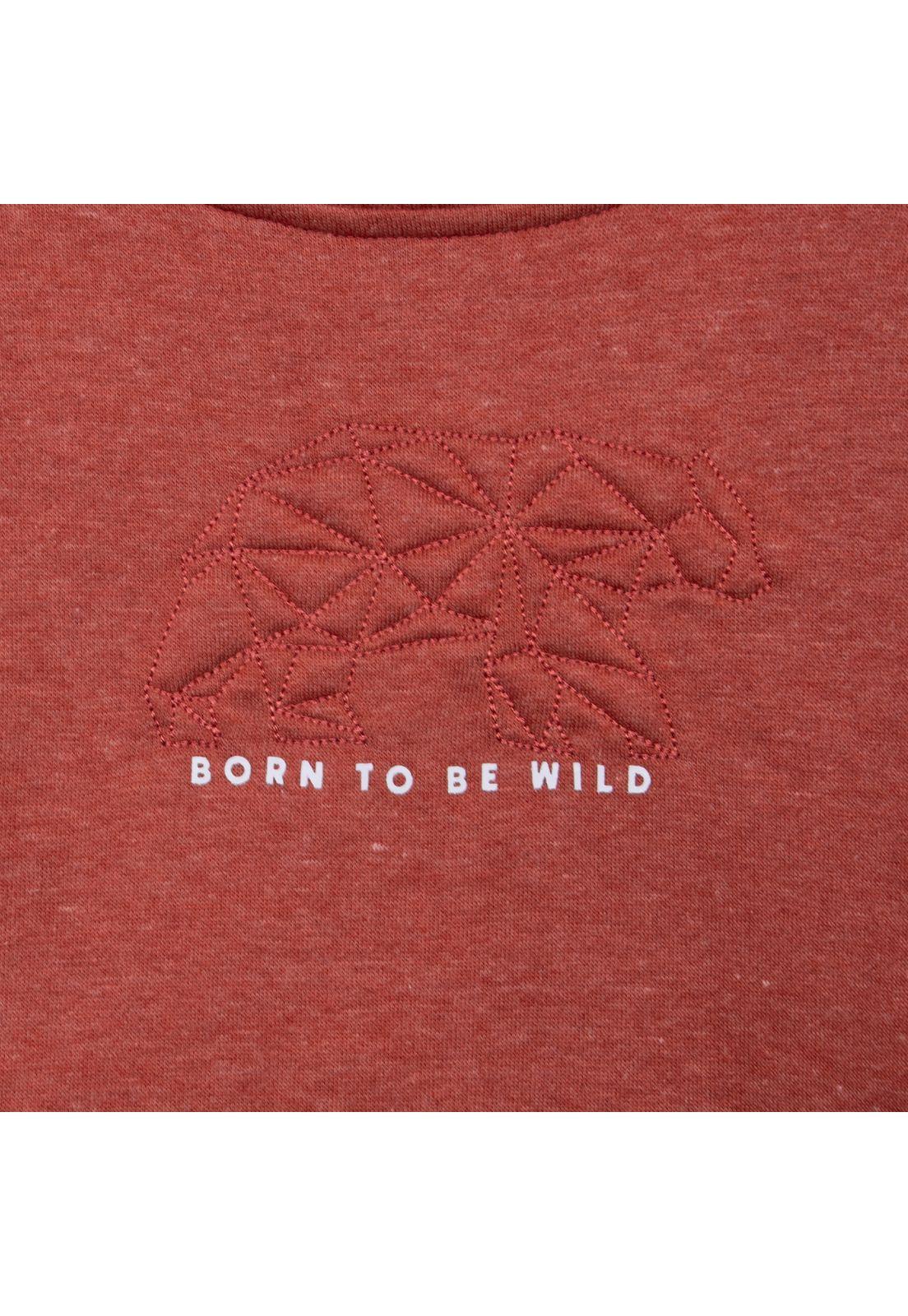 Polerón  Pillin Rojo Niño (PVD538-26TER)-2