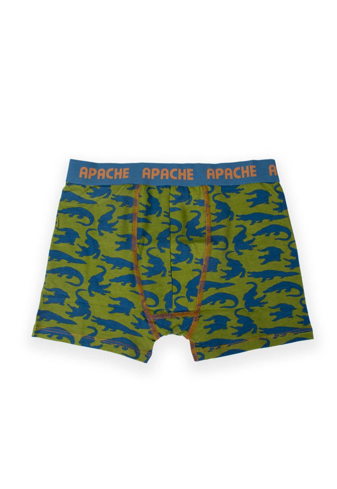 Calzoncillo Niño Multicolor Pillin (PRB216-25SUR)-3