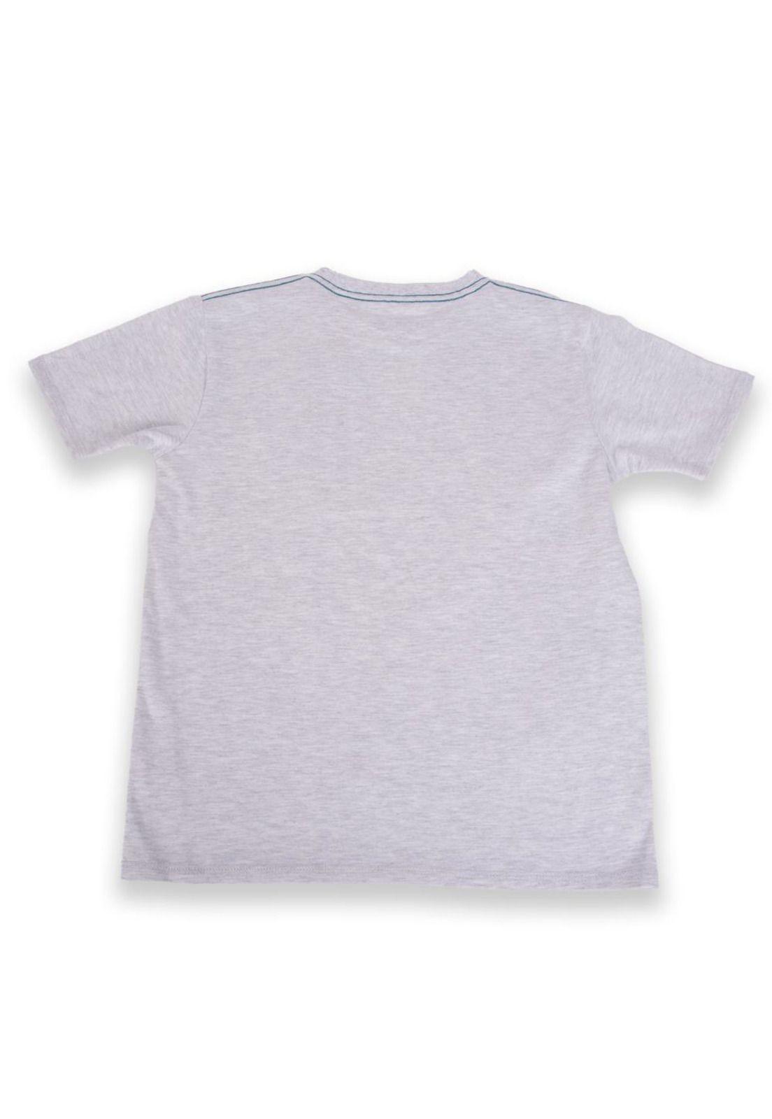 Polera Niño Gris claro Pillin-2