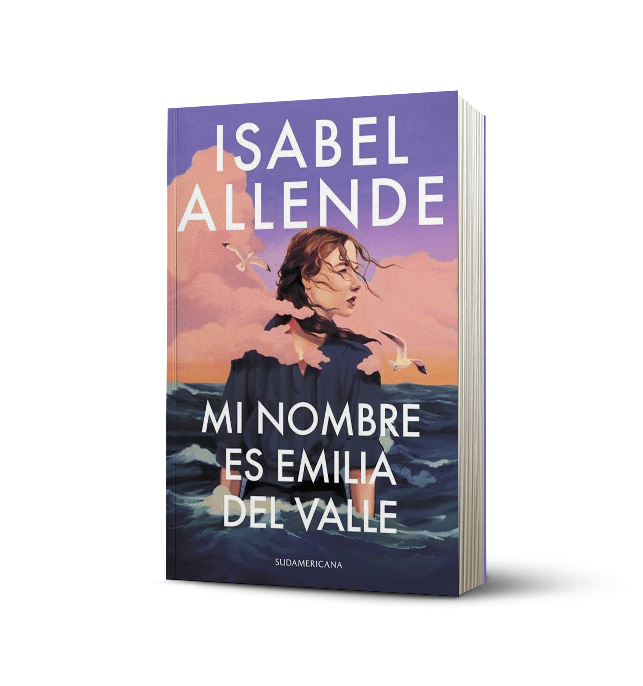 Libro Mi Nombre Es Emilia Del Valle-1