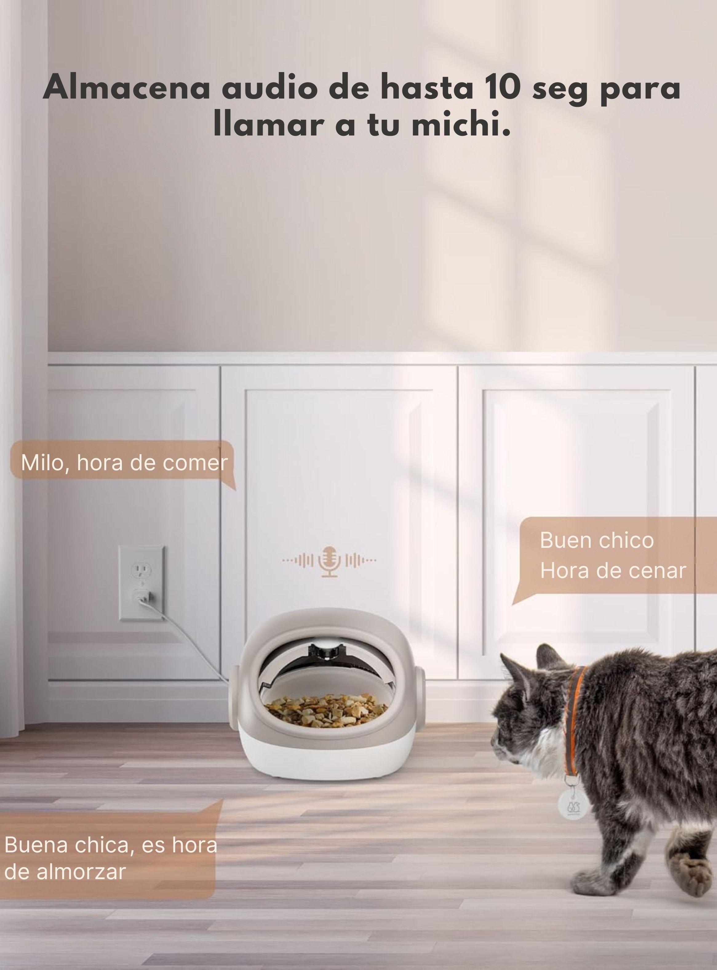 Comedero Automático RFID Antirobo Comida Gatos -4