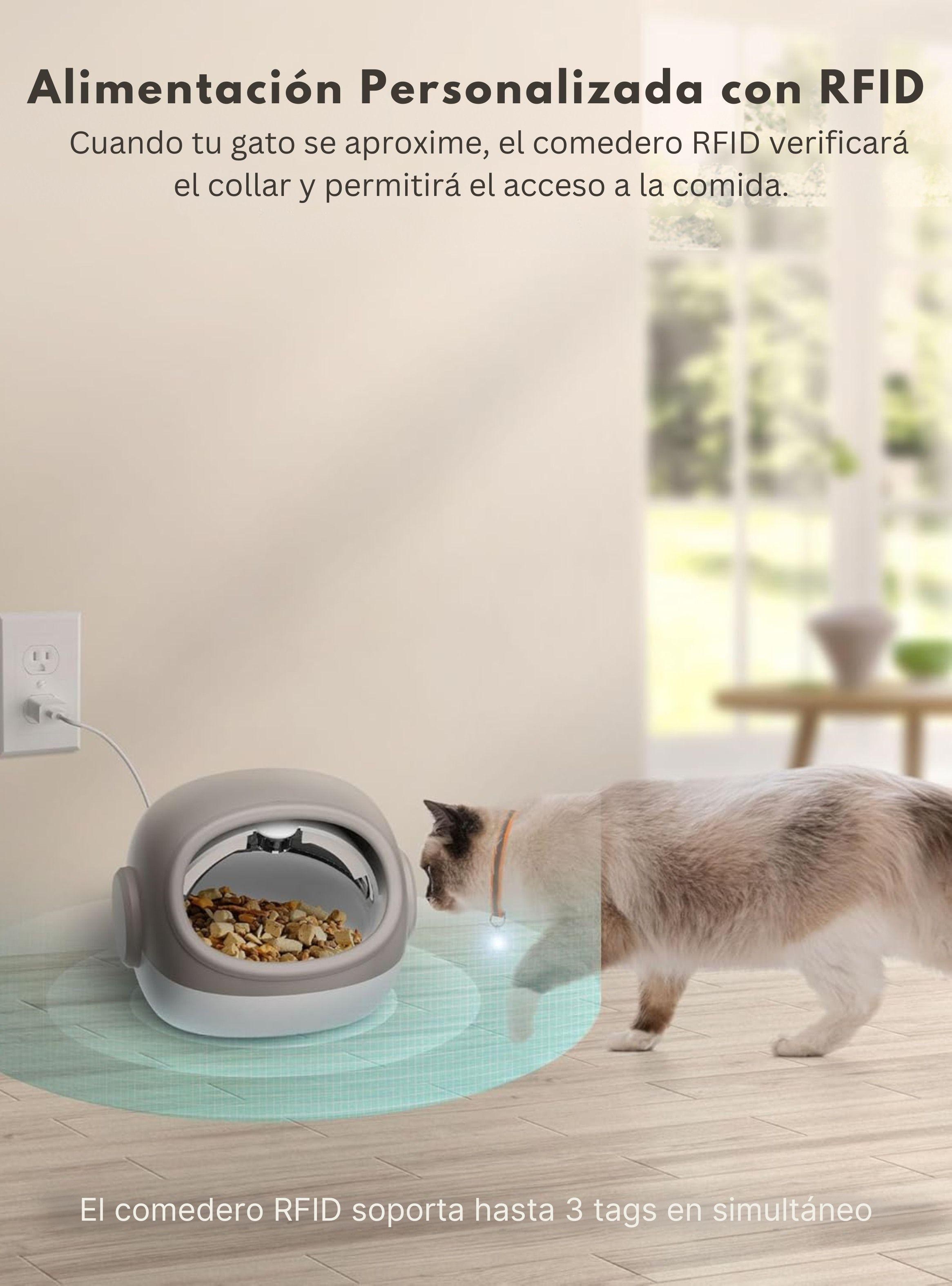 Comedero Automático RFID Antirobo Comida Gatos -2