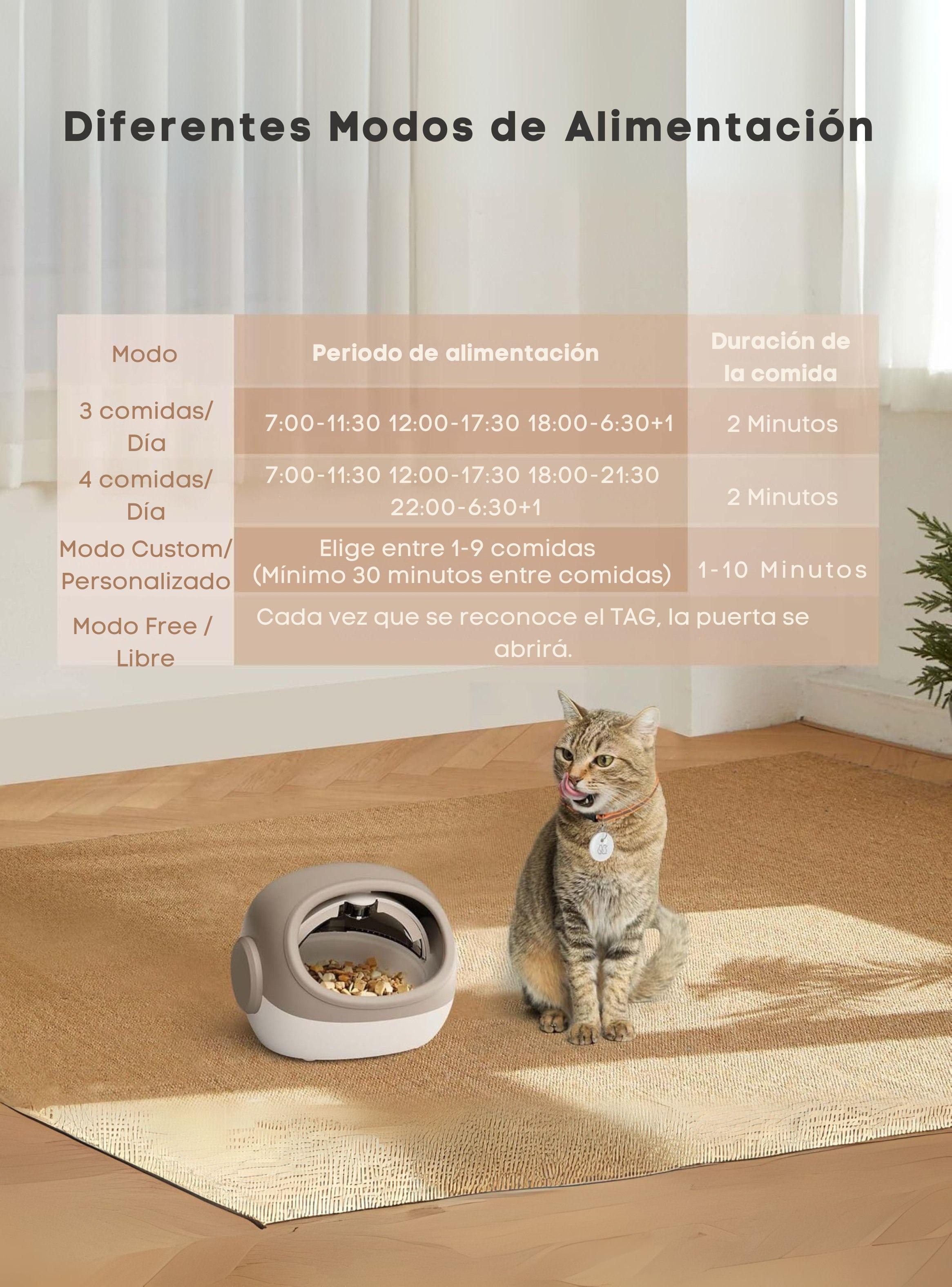 Comedero Automático RFID Antirobo Comida Gatos -5