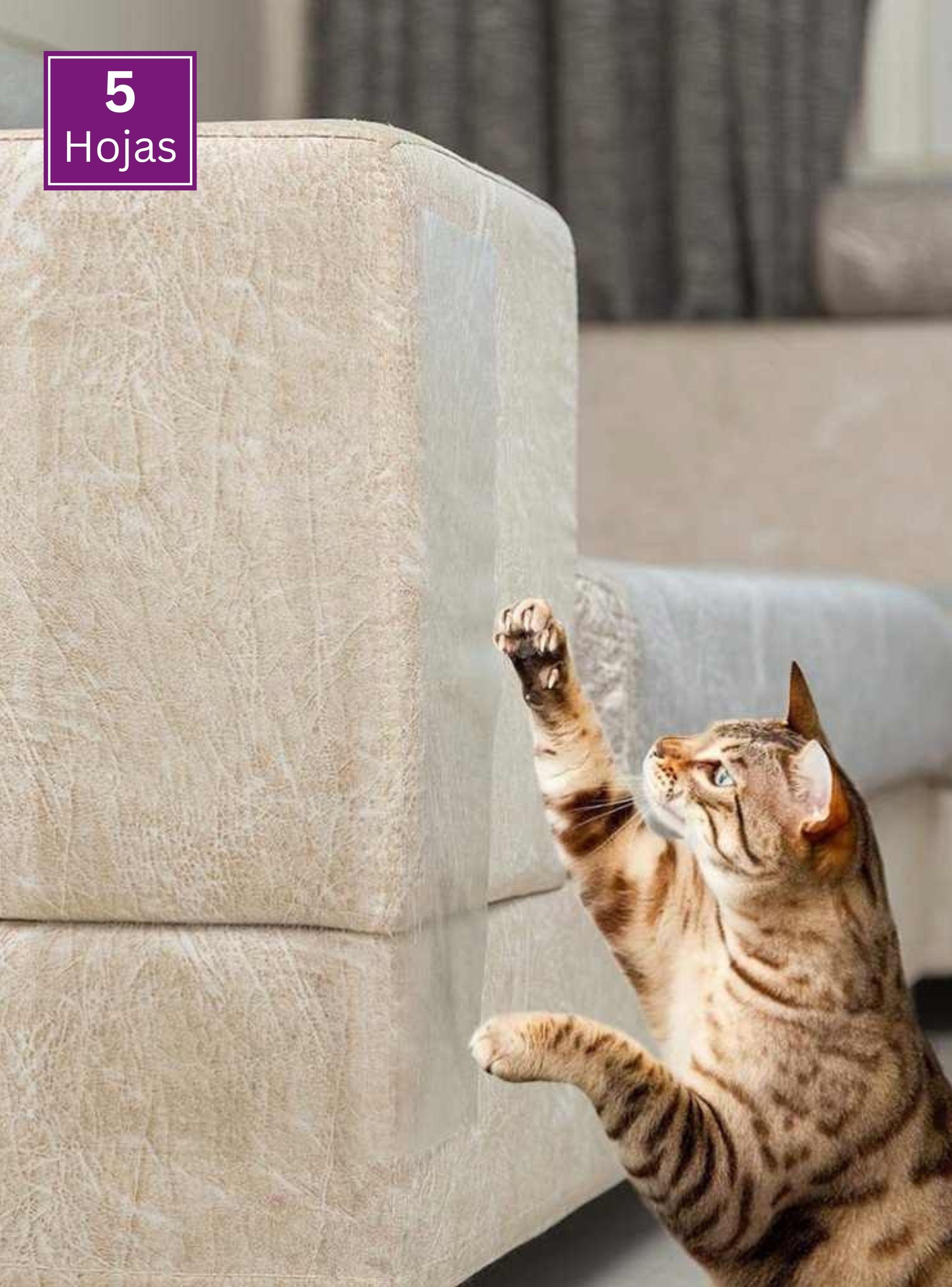 Cinta Protección Muebles Antiarañazos Gato (5 hojas)-2