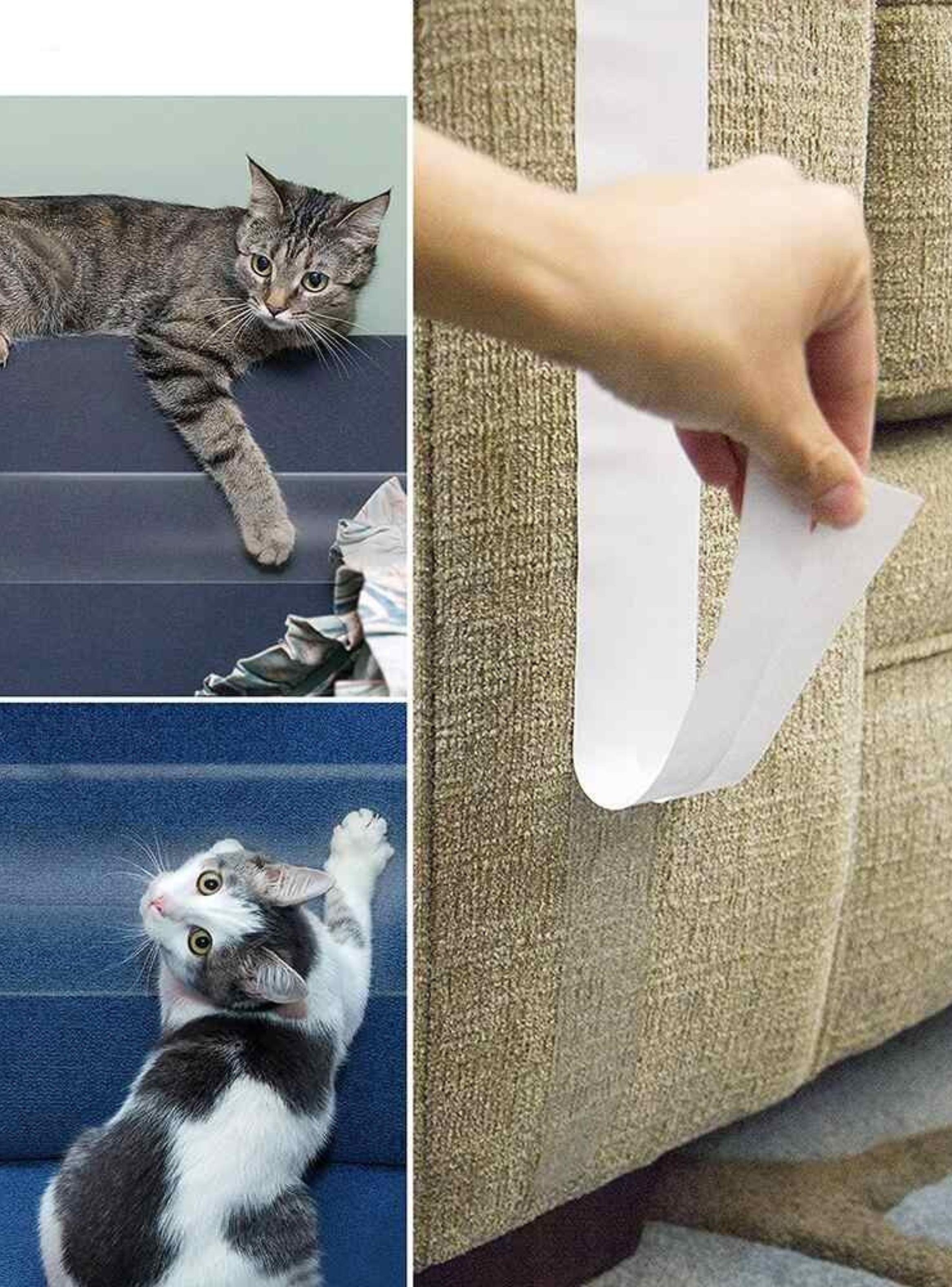 Cinta Protección Muebles Antiarañazos Gato (5 hojas)-4