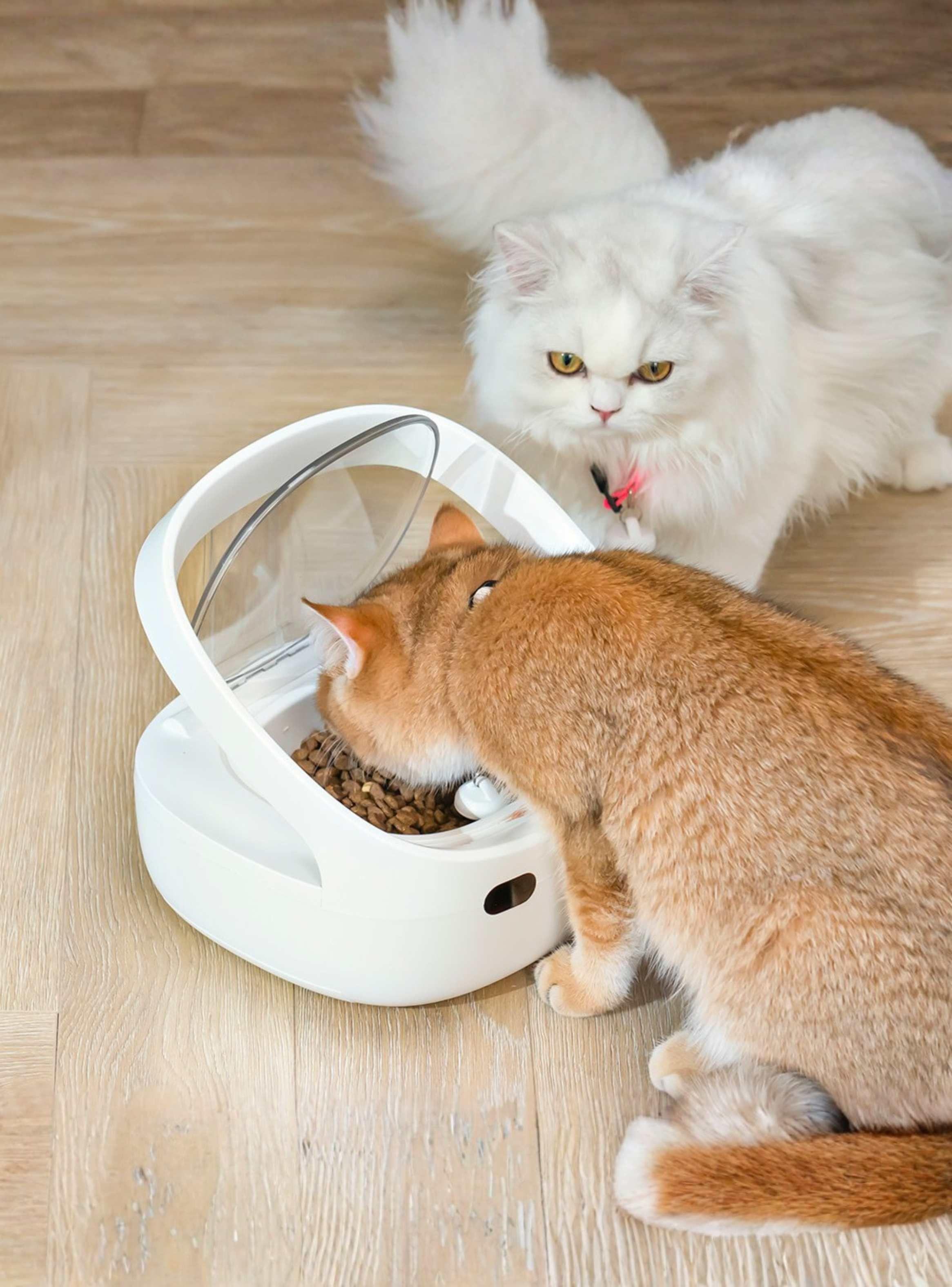 Comedero Inteligente RFID Sensor con refrigerante Antirrobo Gatos-2