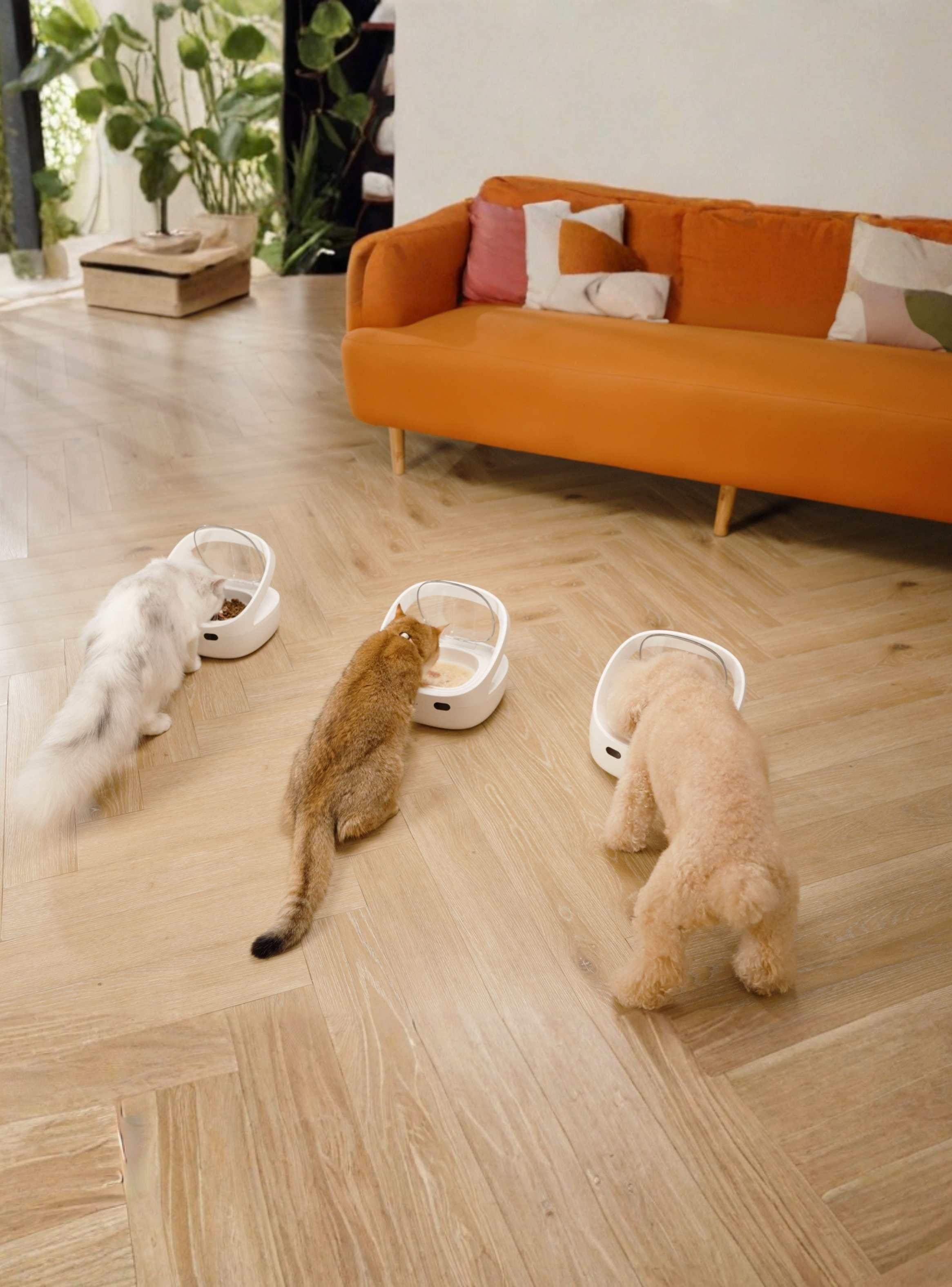 Comedero Inteligente RFID Sensor con refrigerante Antirrobo Gatos-3