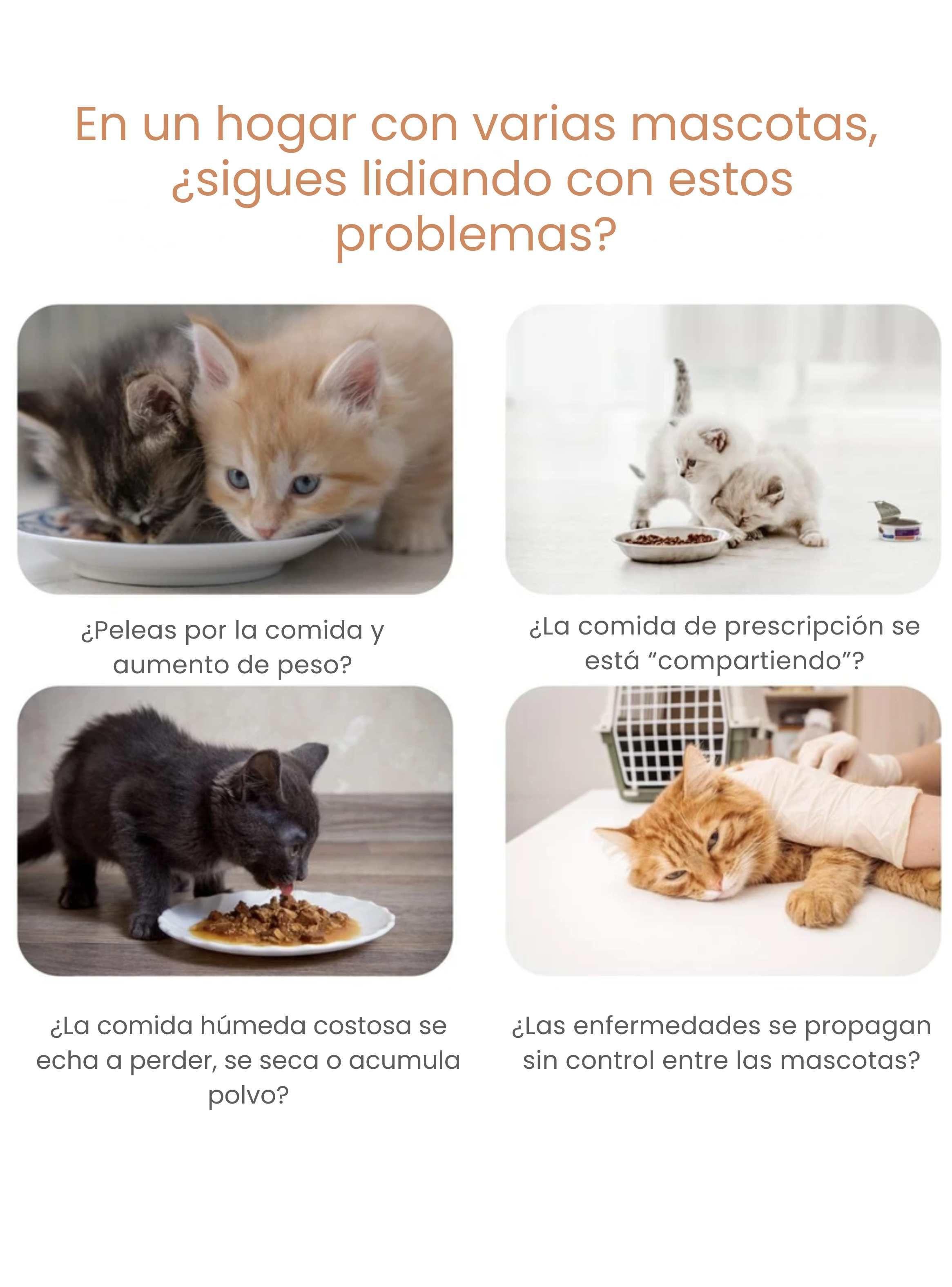 Comedero Inteligente RFID Sensor con refrigerante Antirrobo Gatos-4