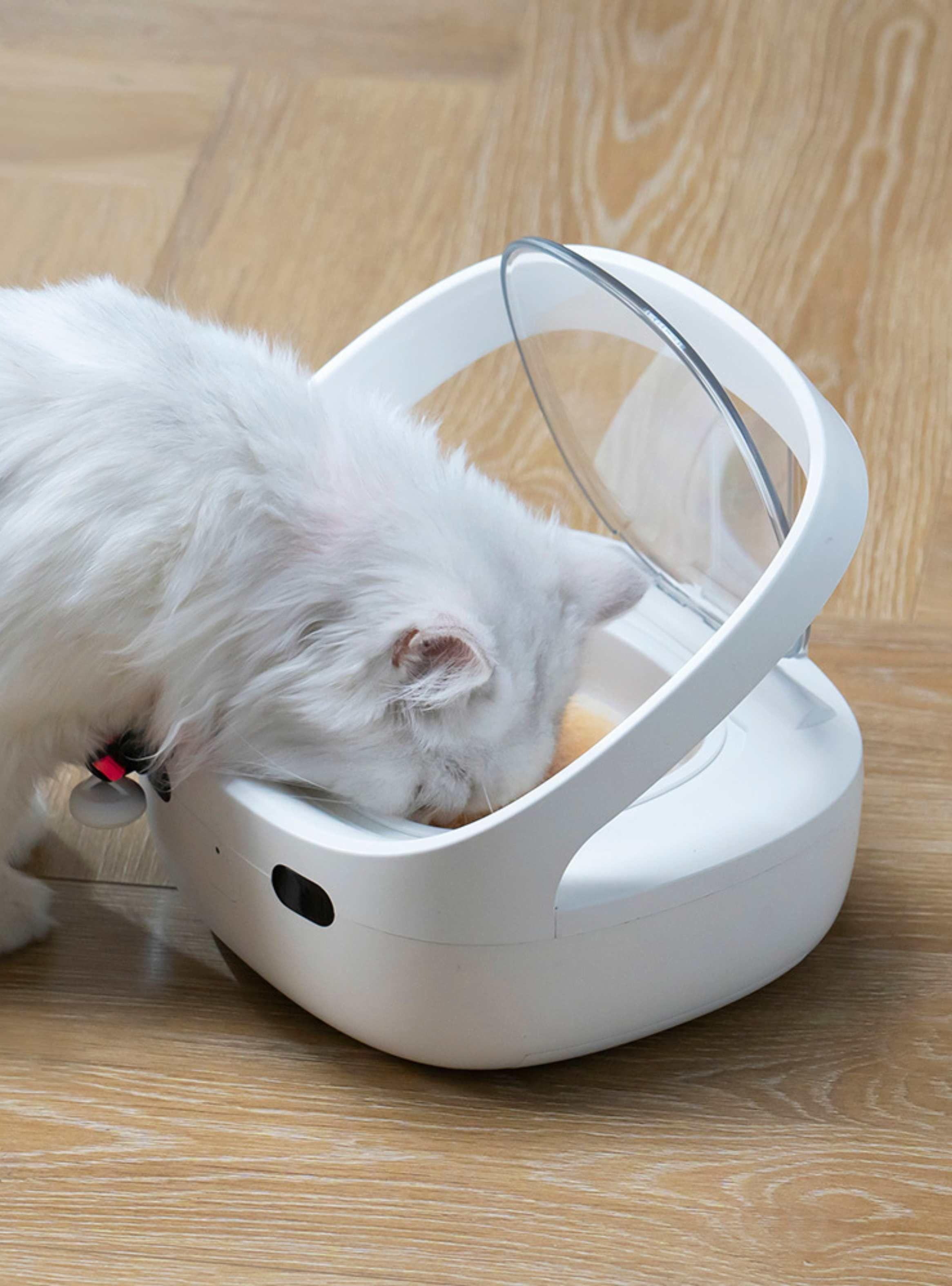 Comedero Inteligente RFID Sensor con refrigerante Antirrobo Gatos-7