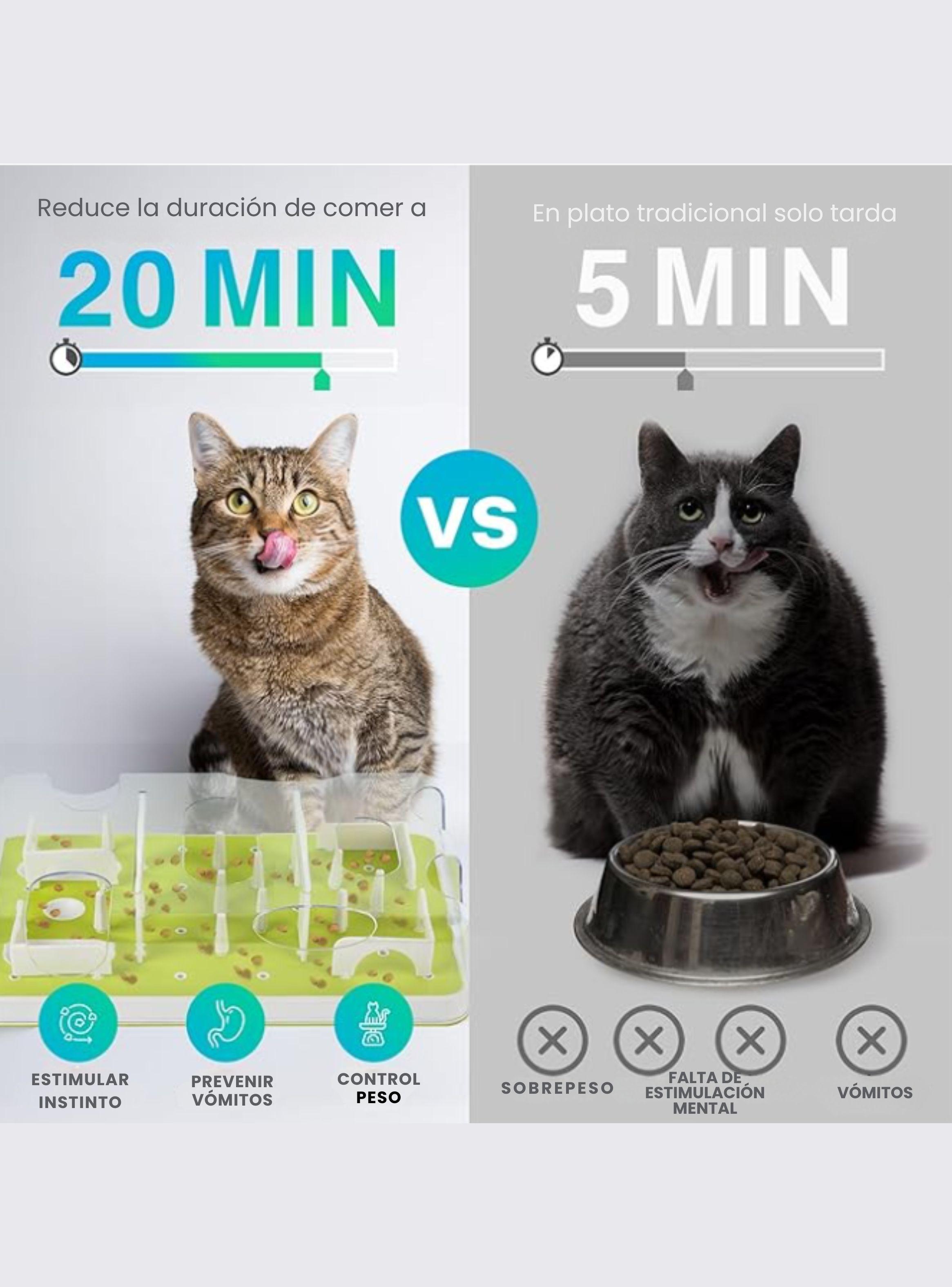 Alimentador Lento Antiestr s Juego Interactivo Mental Gatos-3