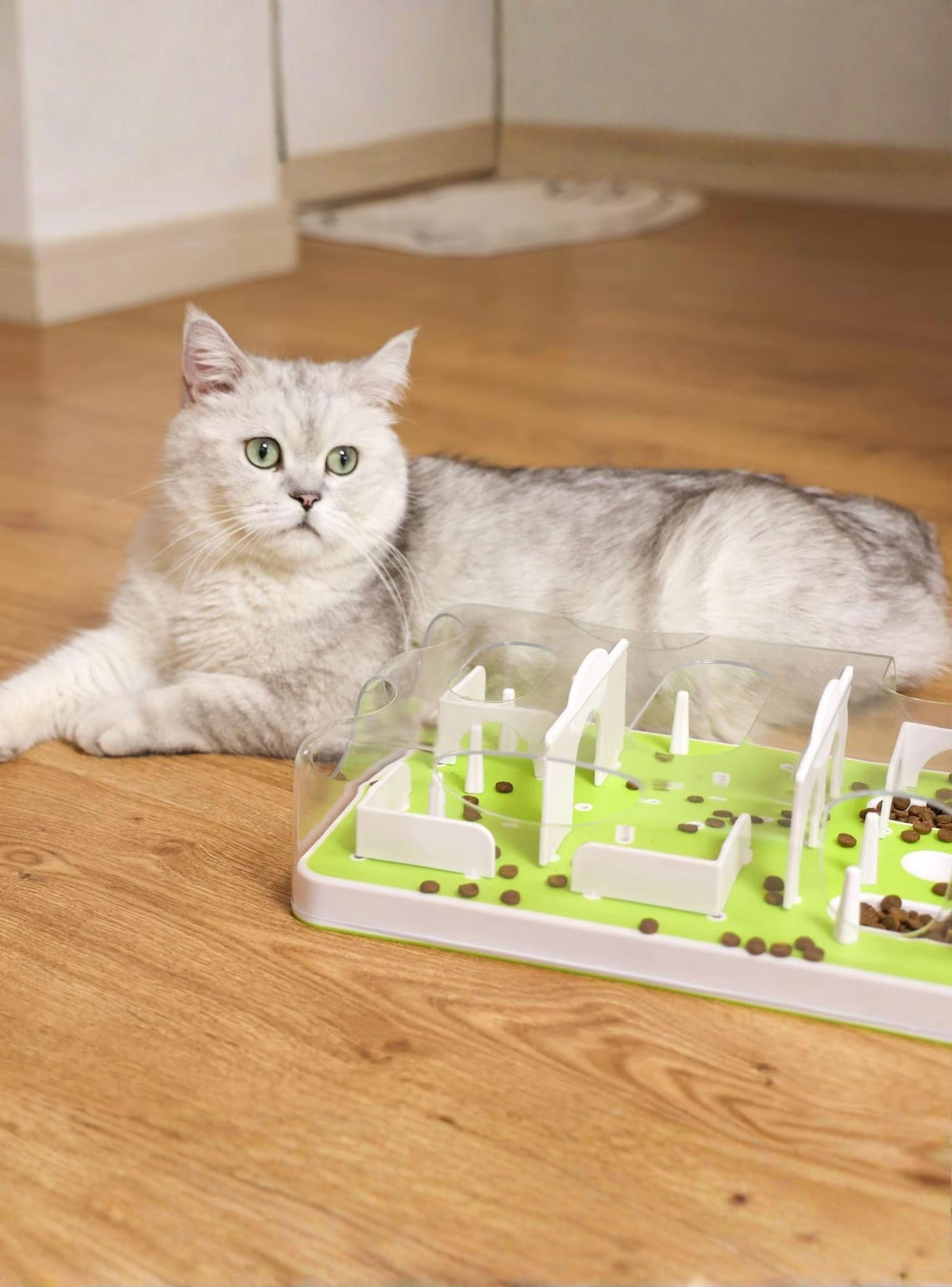 Alimentador Lento Antiestr s Juego Interactivo Mental Gatos-6