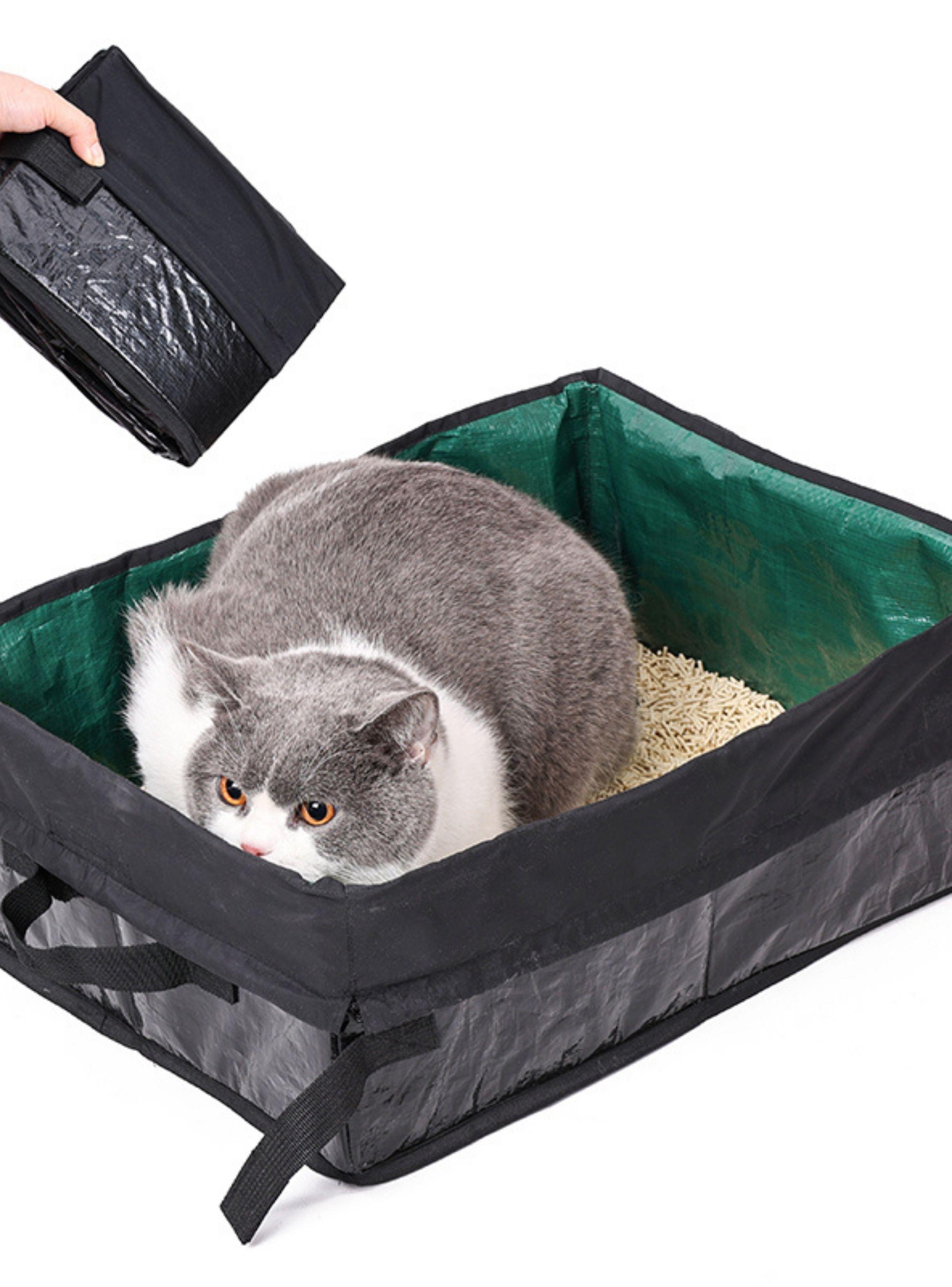 Arenero Plegable Portátil Gato Viajes-2
