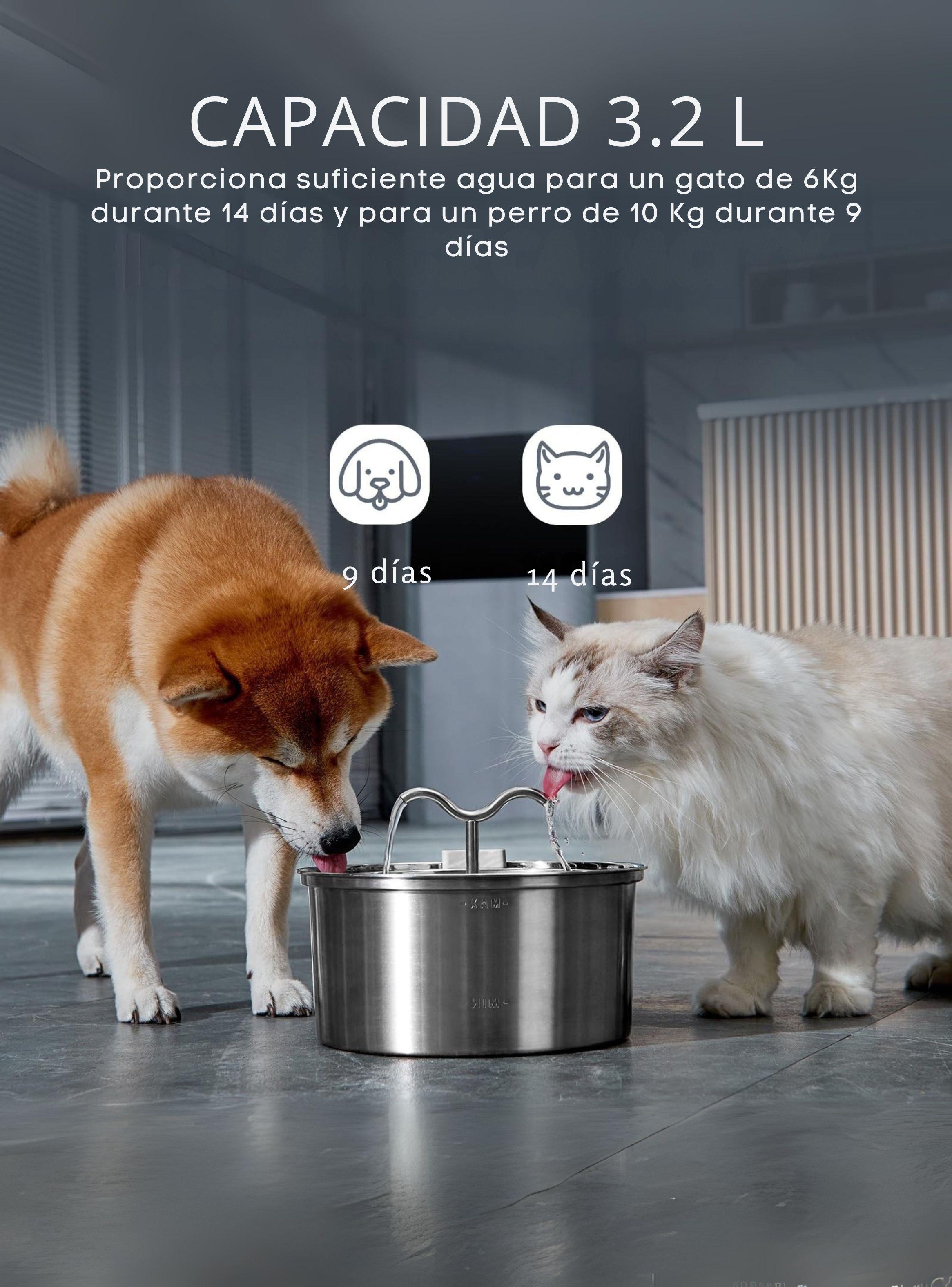 Bebedero Gato Automático Acero Inox Llave Silenciosa 2 salidas-6