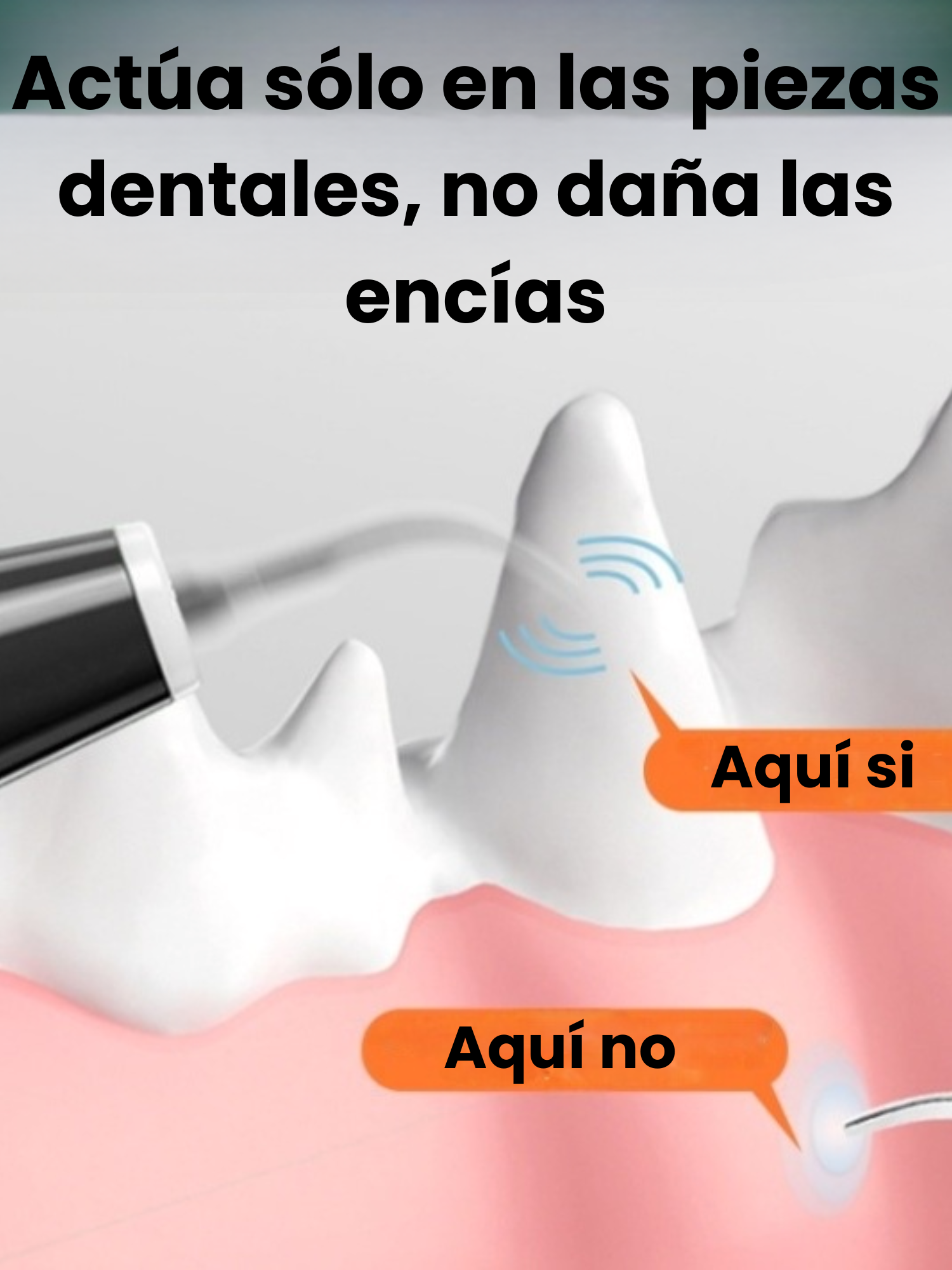 Limpiador Ultras nico Dental Para Mascotas 5 Niveles Salud-5