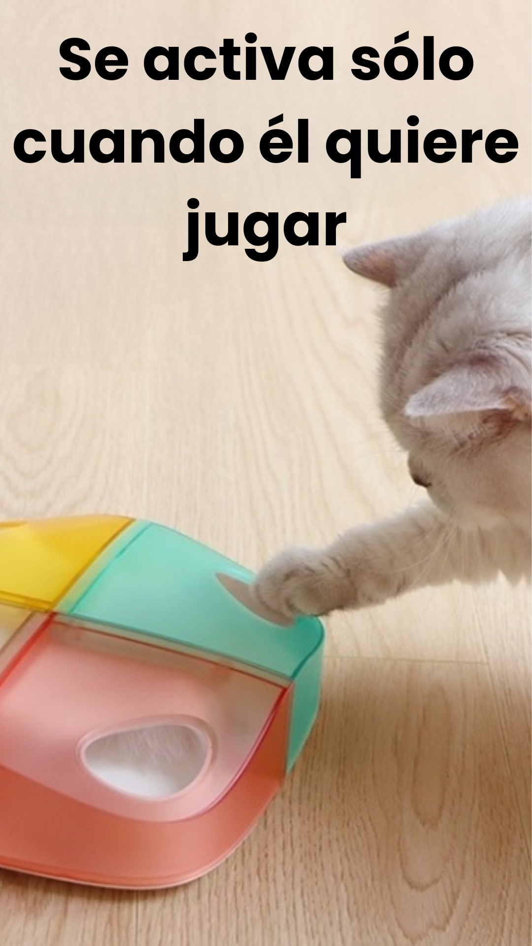 Juguete interactivo recargable para gatos Plumas sorpresa bater a 2000 mAh-5