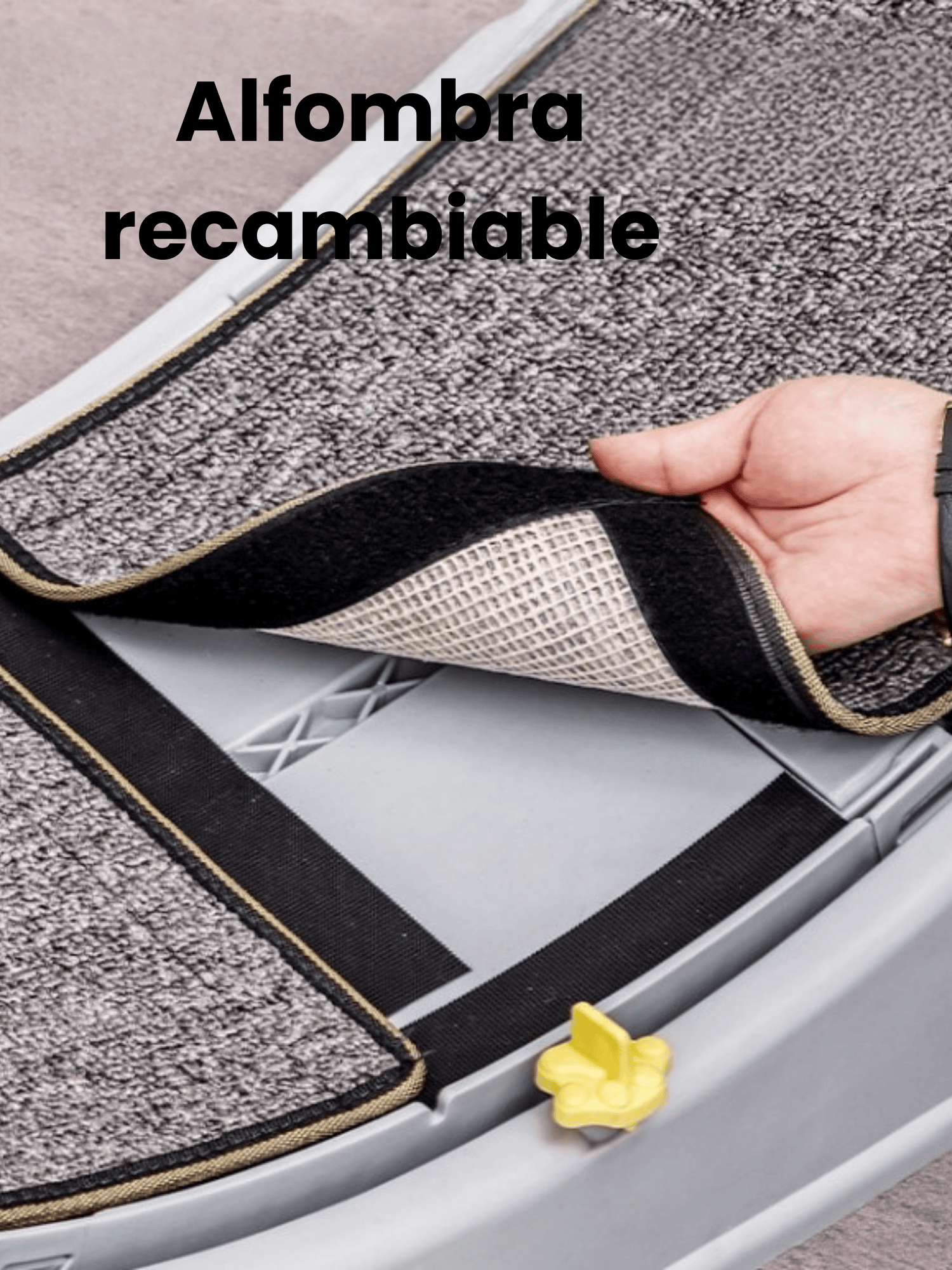 Rueda De Ejercicio Interactiva Para Gatos 80 cms-6