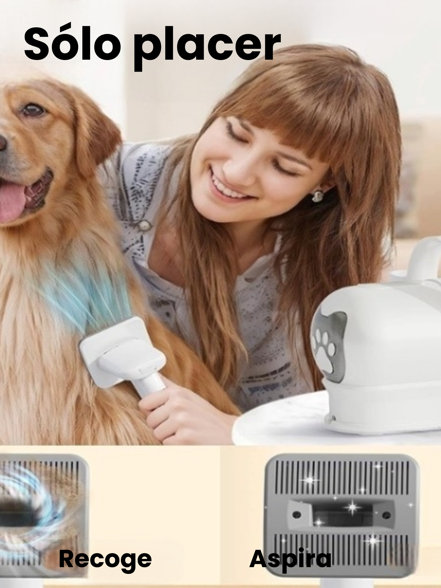 Kit Peluquería Mascotas Con Aspiradora 15 Accesorios Gris blanco-3