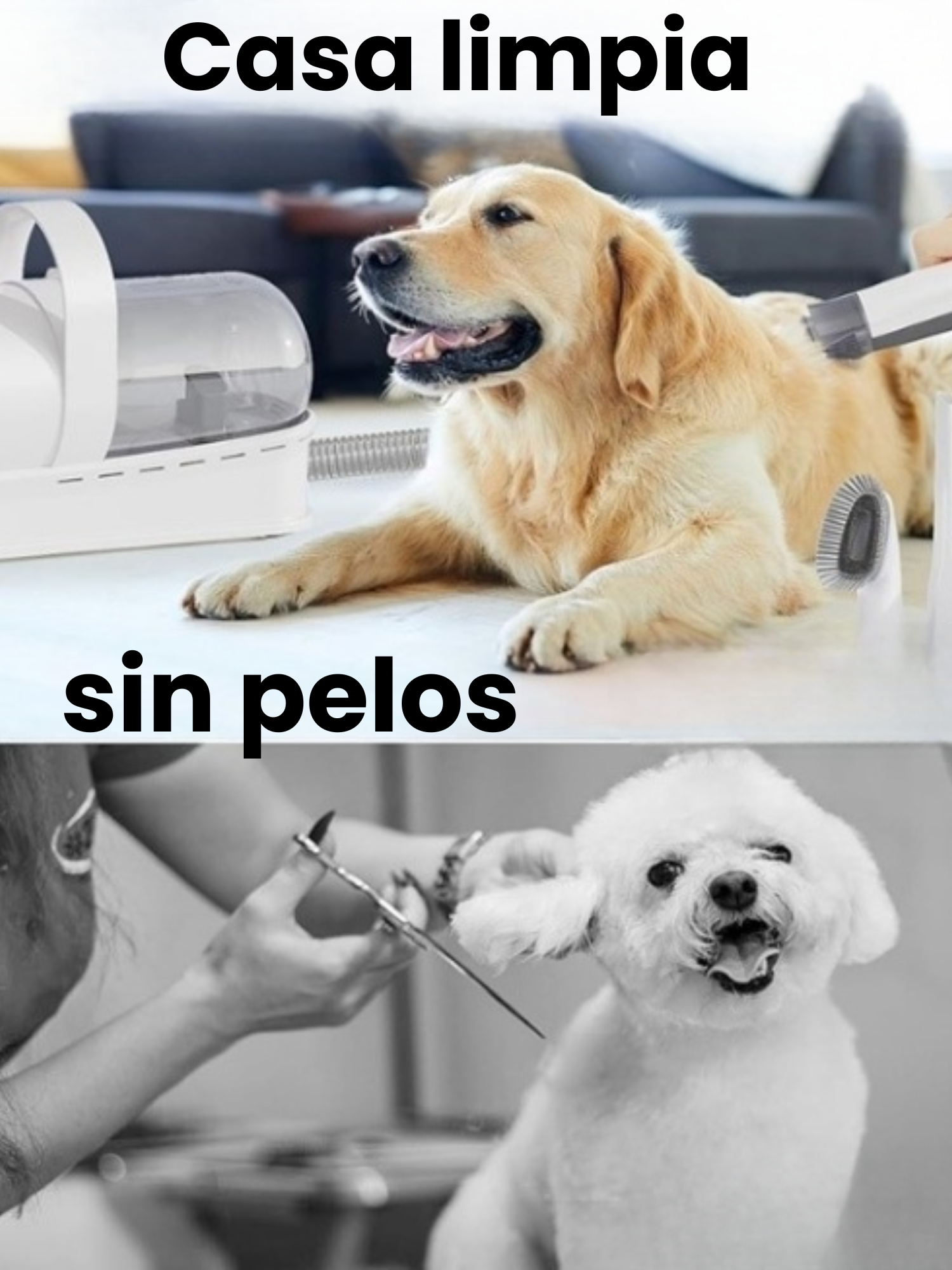 Kit Peluquería Mascotas Con Aspiradora 15 Accesorios Gris blanco-4