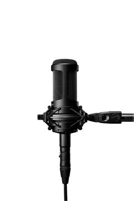 Imagen 2 del producto Micrófono Audio-Technica AT2050 condensador multipatrón