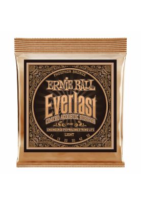 Cuerdas metalicas guitarra acustica Ernie Ball P02548