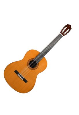 Guitarra Acustica Yamaha C40