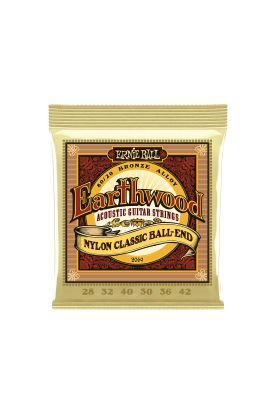 Cuerdas Guitarra Clásica Ernie Ball Earthwood P02069