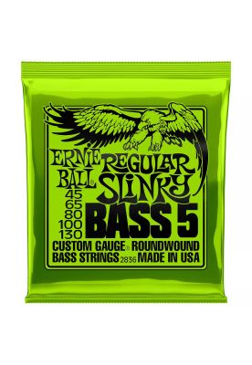 Set 5 cuerdas para bajo Ernie Ball Slinky Bass 5 P02836