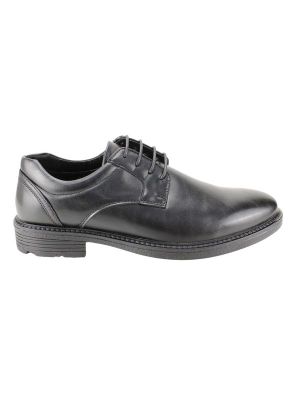Zapato New Walk Formal Derby Negro