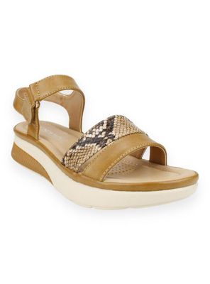 Imagen 2 del producto Sandalia New Walk Confort Café