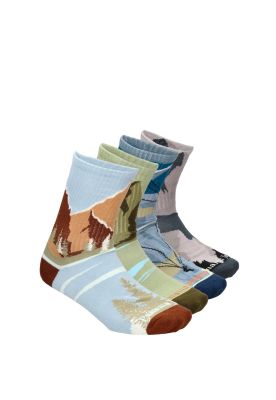 Imagen 1 del producto Pack 4  Calcetines algodón Unisex CP05 Panama Jack