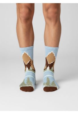 Imagen 2 del producto Calcetín algodón Print CP5 Panama Jack
