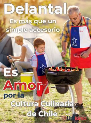 Imagen 2 del producto Delantal Cocina Fiestas Patrias Bandera Chilena 60X90 CM Viva Chile