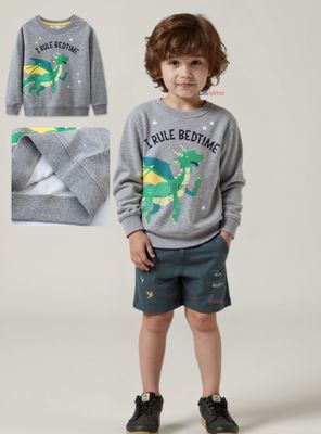 Imagen 1 del producto Polerón Algodón Cuello Redondo Niño Gris Dragon