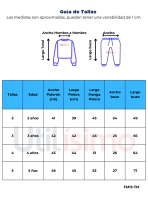 Imagen 2 del producto Set 2 piezas Conjunto Buzo Polerón Niño 2 a 5 Años 100% Algodón Gris TMK