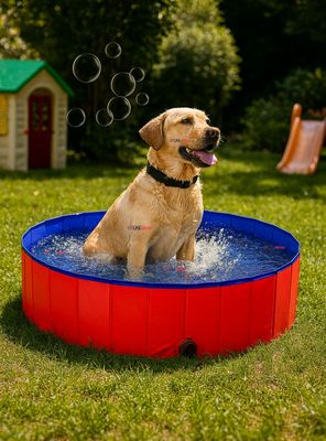 Piscina Bañera Portátil Plegable Para Perros 80x20cm