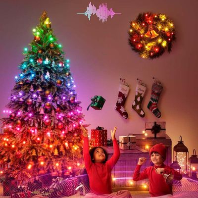 Imagen 2 del producto Luces para festividades Smart 20mts 