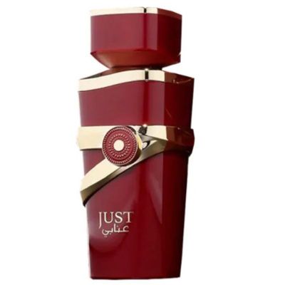 Imagen 2 del producto Fragrance World Just Anabi Unisex EDP 100 ML