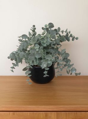 Imagen 2 del producto Planta Artificial Dichondra 20x9 cm