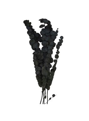 Rama Decorativa Natural