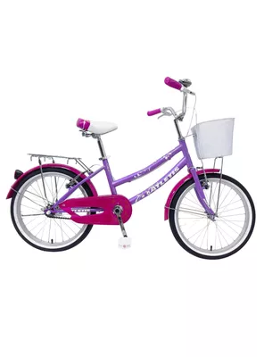 Bicicleta Infantil Classic Ride Canasto Aro 20