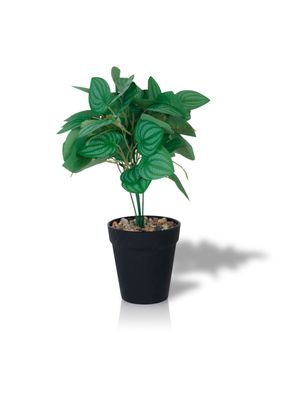 Imagen 1 del producto Planta Artificial Peperomia 28x9 cm