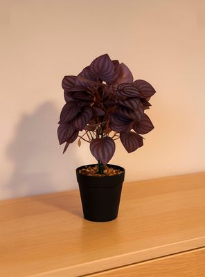 Imagen 2 del producto Planta Artificial Peperomia 28x9 cm