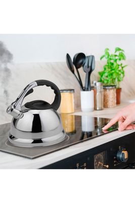 Imagen 2 del producto Tetera Acero Inoxidable 4,5 Litros Gris