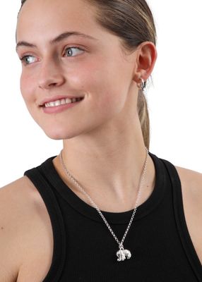 Imagen 2 del producto Collar Tori Plateado ID