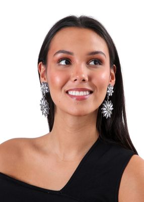 Imagen 2 del producto Aros Diana Plateado Humana