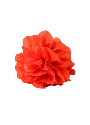 Pinche Tere Naranjo Humana