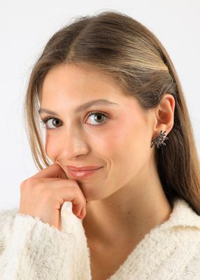 Imagen 2 del producto Aros Pegados Eimi Plateado I-D