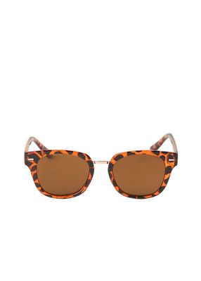 Anteojos de sol Kotao Cuadrado café Bobs