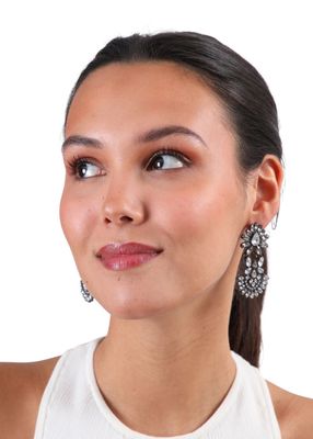 Imagen 2 del producto Aros Largo Petal Plateado Humana